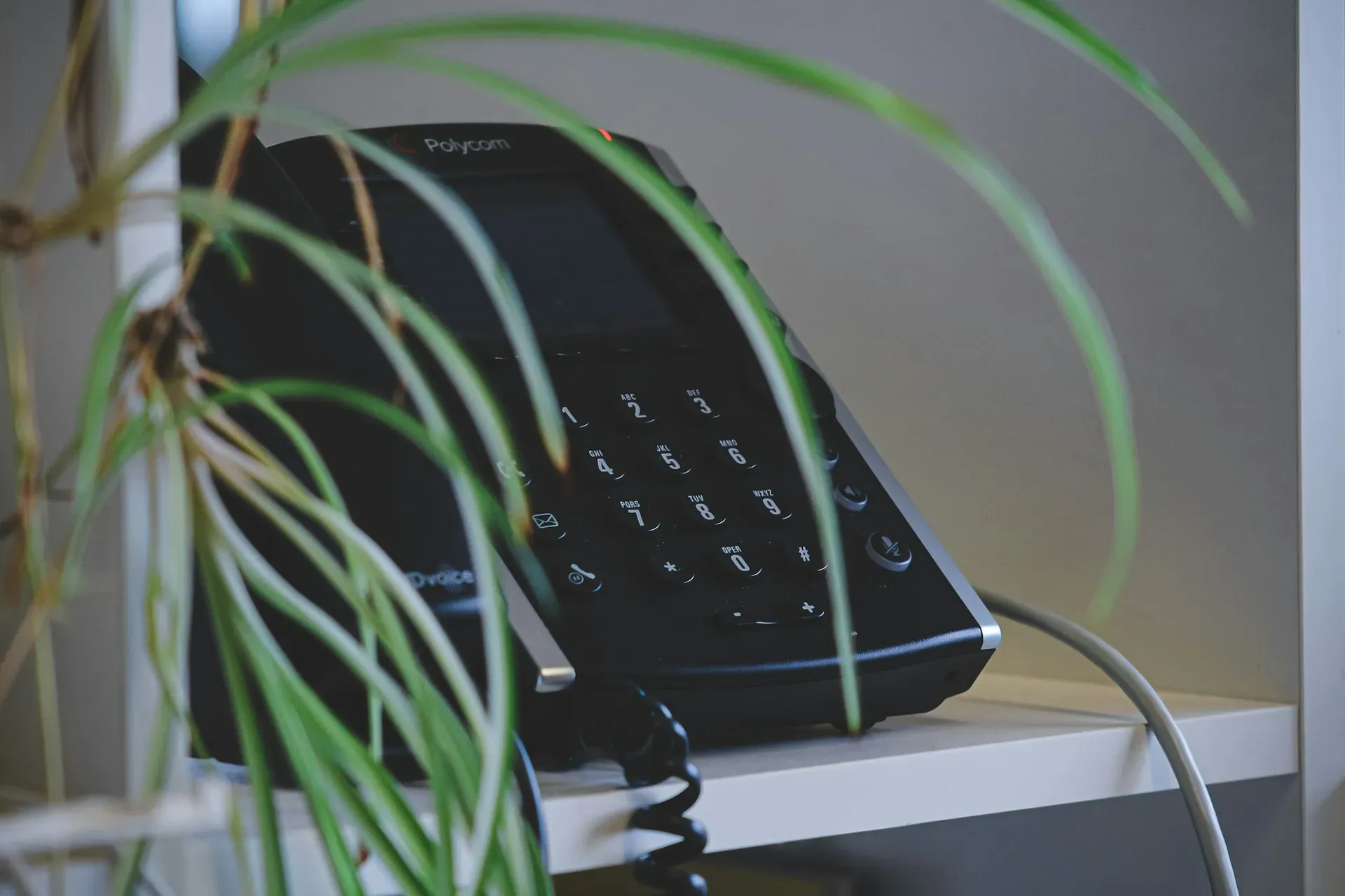 IP phones